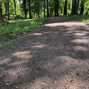 Neu hergestellter Weg im Stadtpark Weg