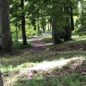 Neu hergestellter Weg im Stadtpark Weg2