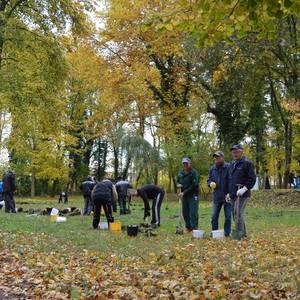 Park pflanzaktion
